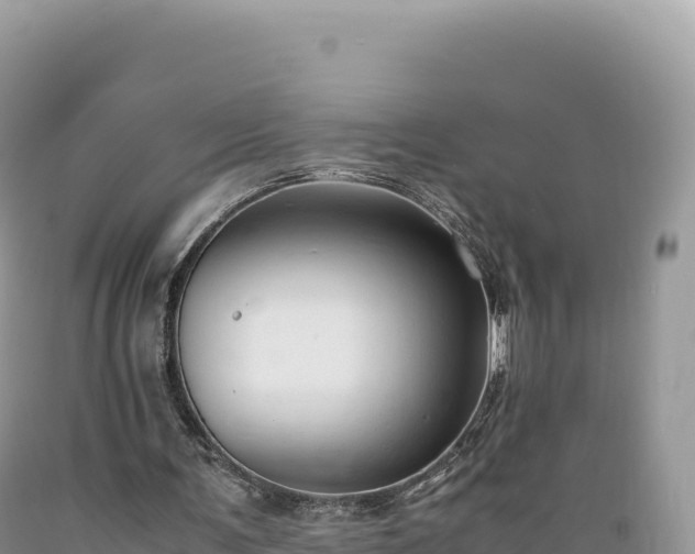 X0000089360291200706221206