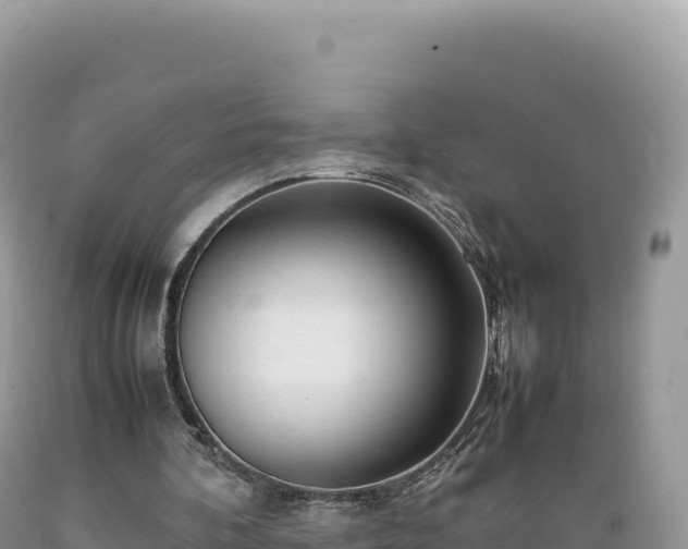 X0000089360292200706221206