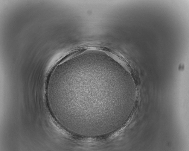 X0000089360293200706221206