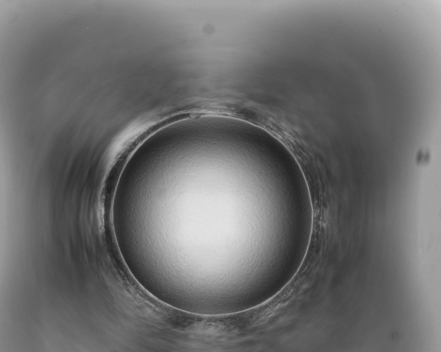 X0000089360294200706221206