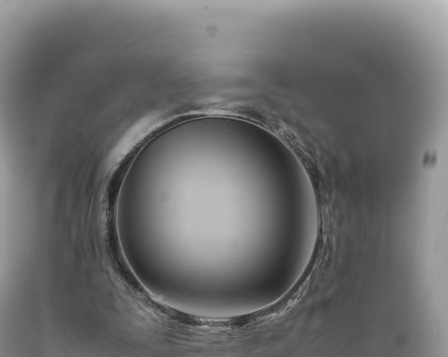 X0000089360295200706221206