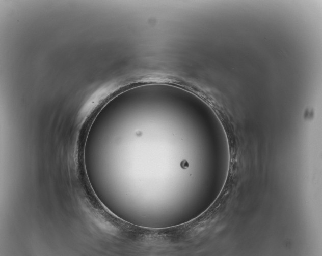 X0000089360296200706221206