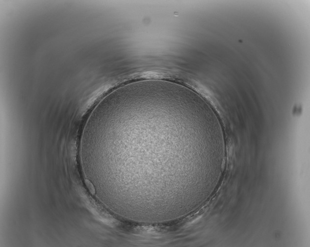 X0000089360297200706221206