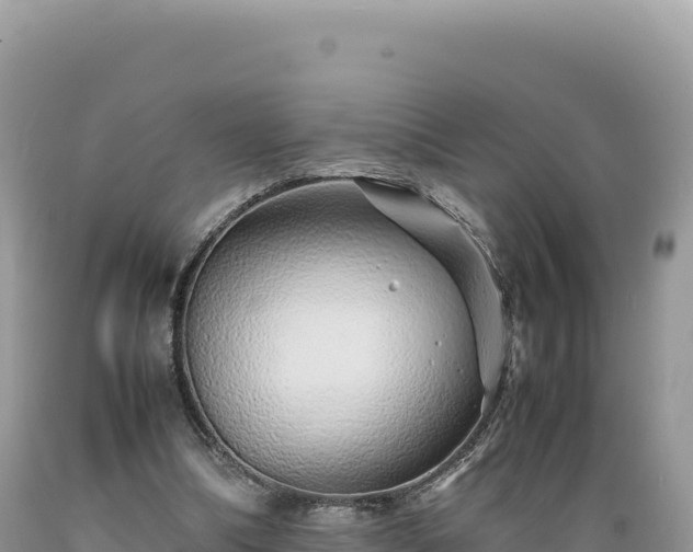 X0000089360298200706221206