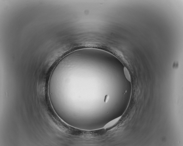 X0000089360299200706221206