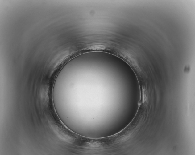 X0000089360300200706221206