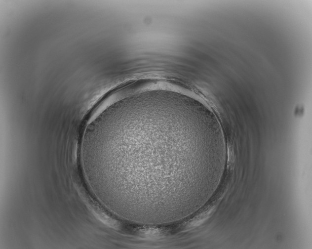 X0000089360301200706221206