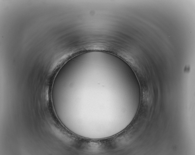 X0000089360302200706221206