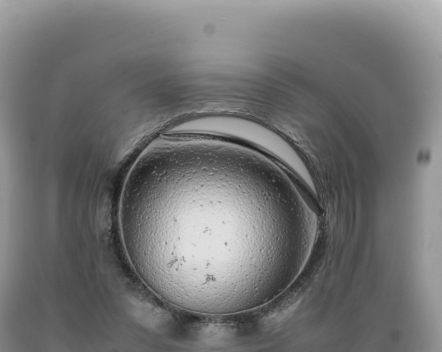 X0000089360303200706221206
