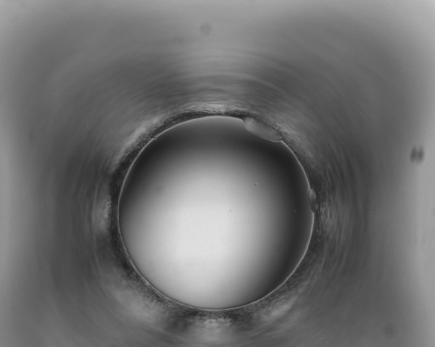 X0000089360304200706221206
