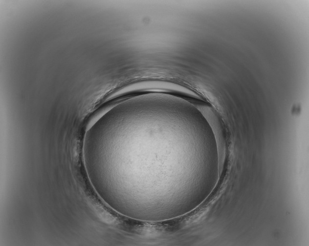 X0000089360305200706221206
