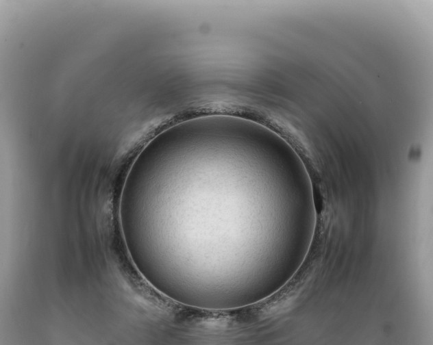 X0000089360306200706221206