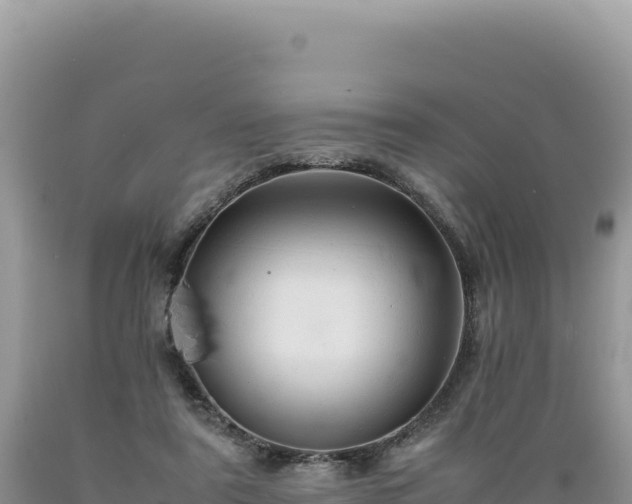 X0000089360307200706221206
