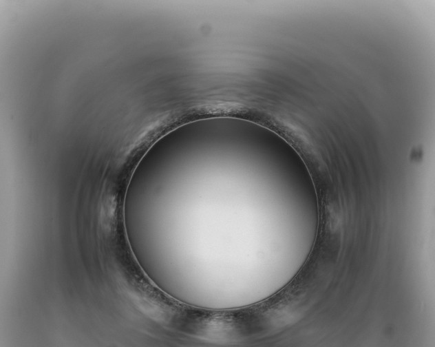 X0000089360308200706221206