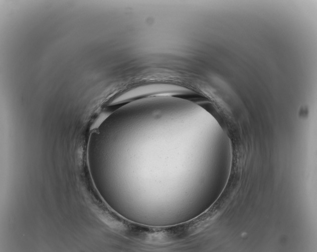 X0000089360309200706221206