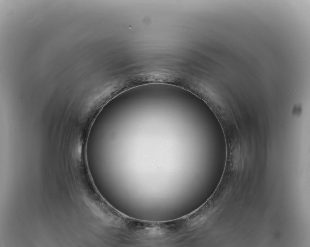 X0000089360310200706221206