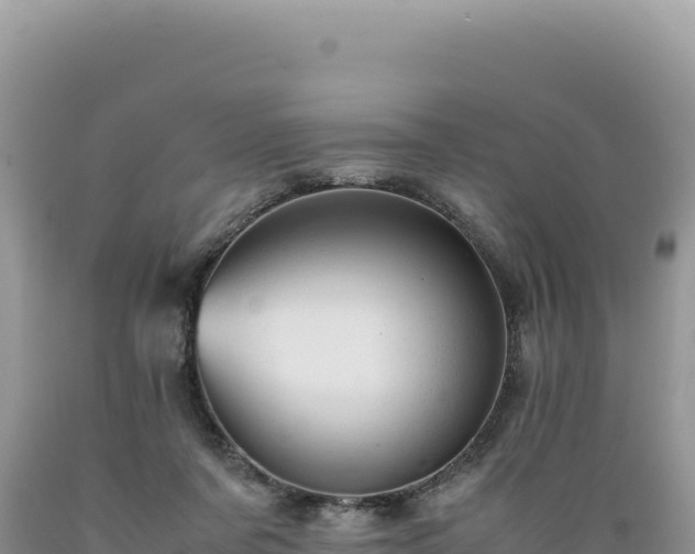 X0000089360311200706221206