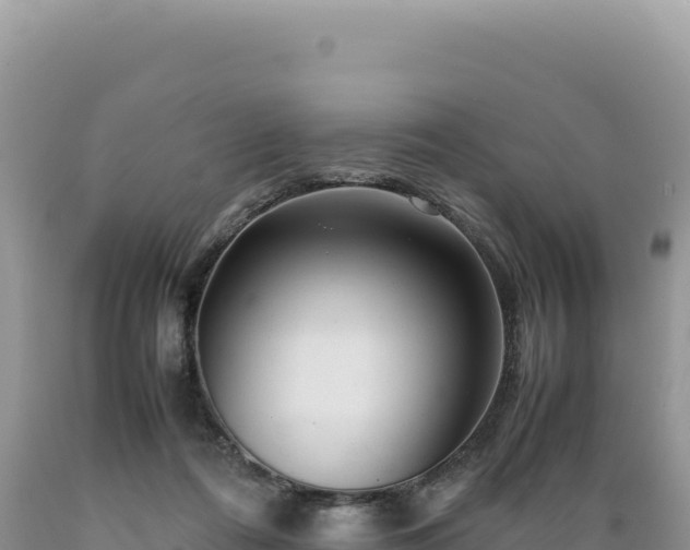X0000089360312200706221206