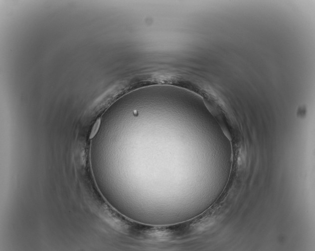 X0000089360313200706221206