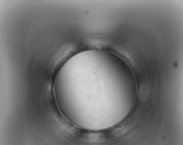 X0000089360314200706221206
