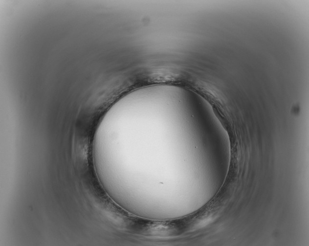 X0000089360315200706221206