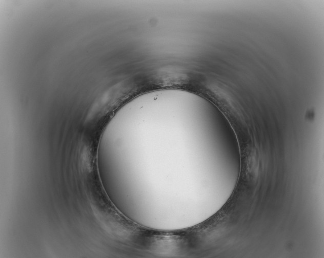X0000089360316200706221205