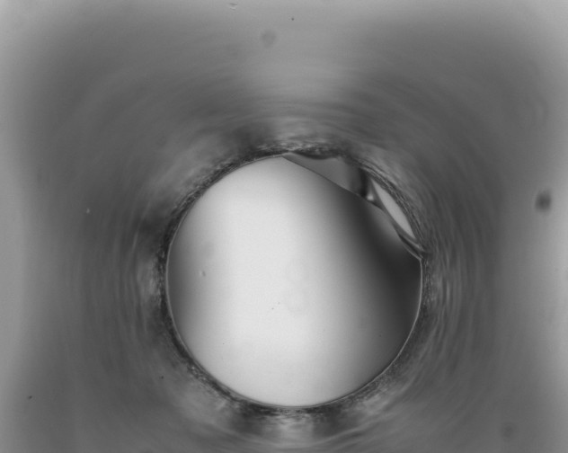 X0000089360317200706221205