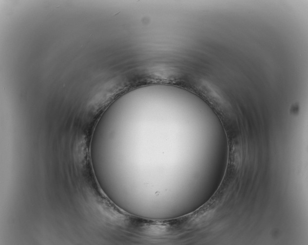 X0000089360318200706221205