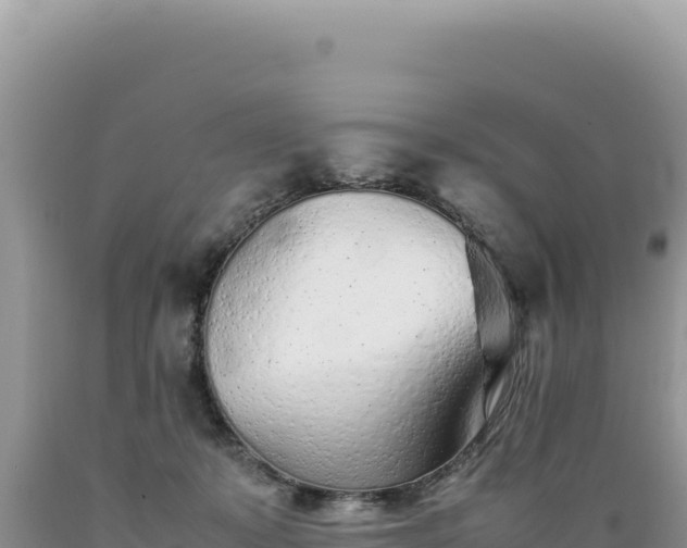 X0000089360319200706221205