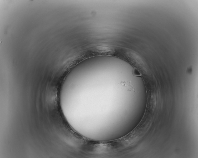 X0000089360320200706221205