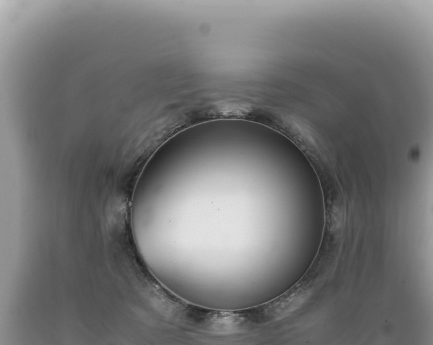 X0000089360321200706221205