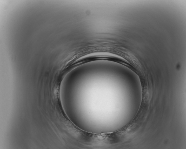 X0000089360329200706221205