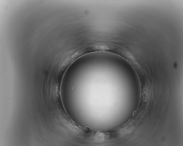 X0000089360330200706221205