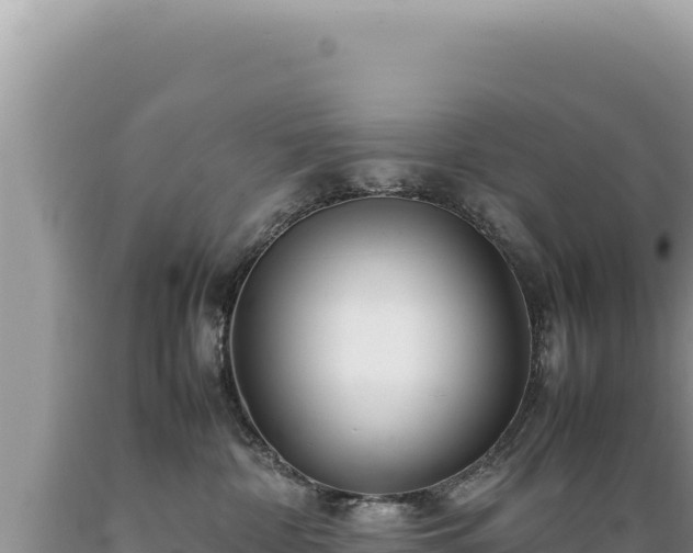 X0000089360332200706221205