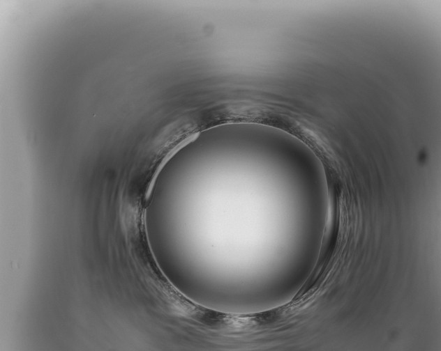 X0000089360333200706221205