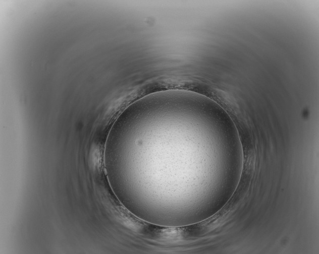 X0000089360335200706221205