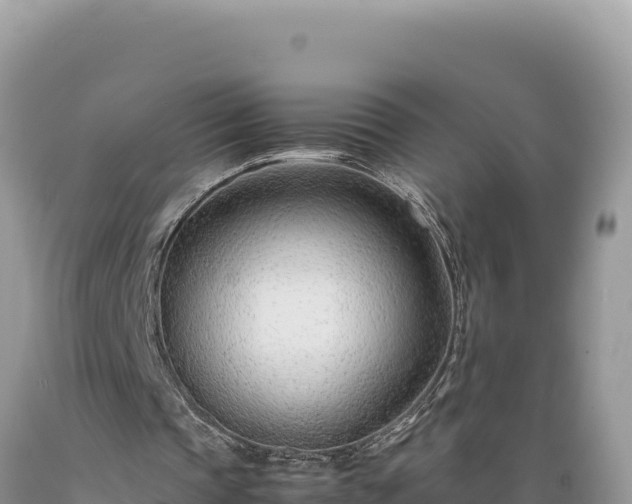 X0000089360337200706221205