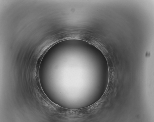 X0000089360338200706221205
