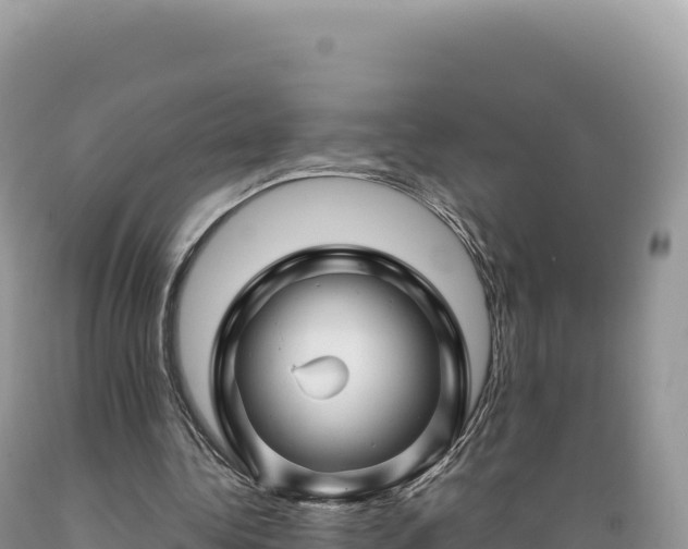 X0000089360340200706221205