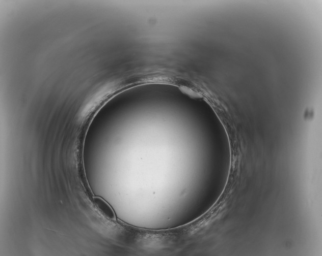 X0000089360341200706221205