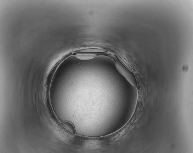 X0000089360342200706221205