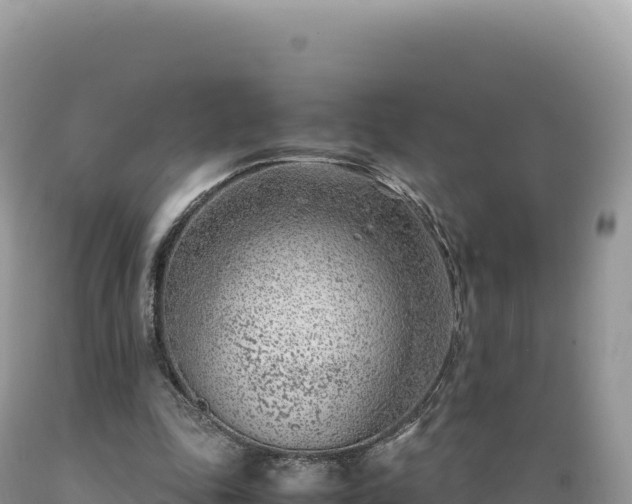 X0000089360343200706221205
