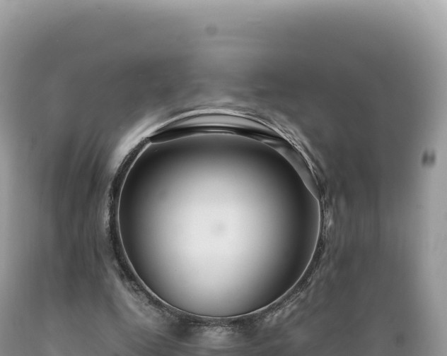 X0000089360344200706221205