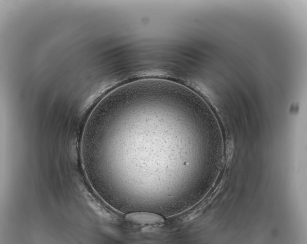 X0000089360345200706221205