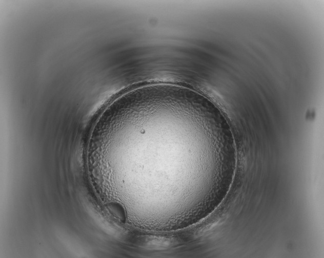 X0000089360347200706221205