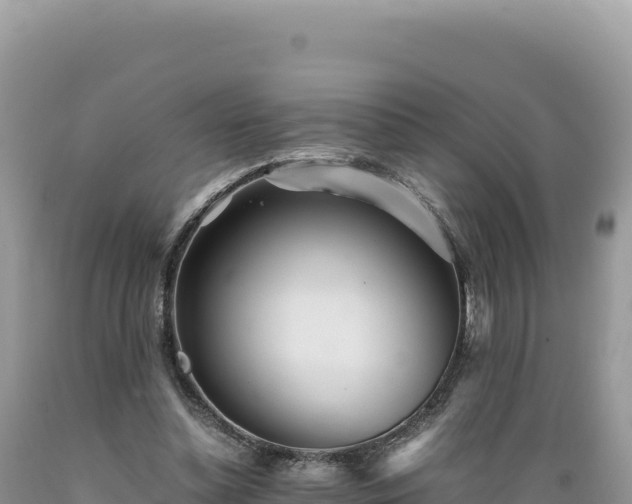 X0000089360348200706221205