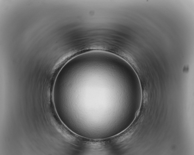 X0000089360349200706221205