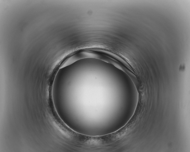 X0000089360350200706221205