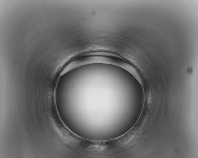 X0000089360352200706221205