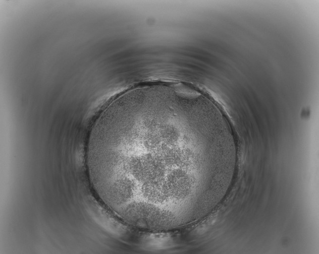 X0000089360353200706221205